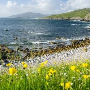 Meet your Posher, Suzanne